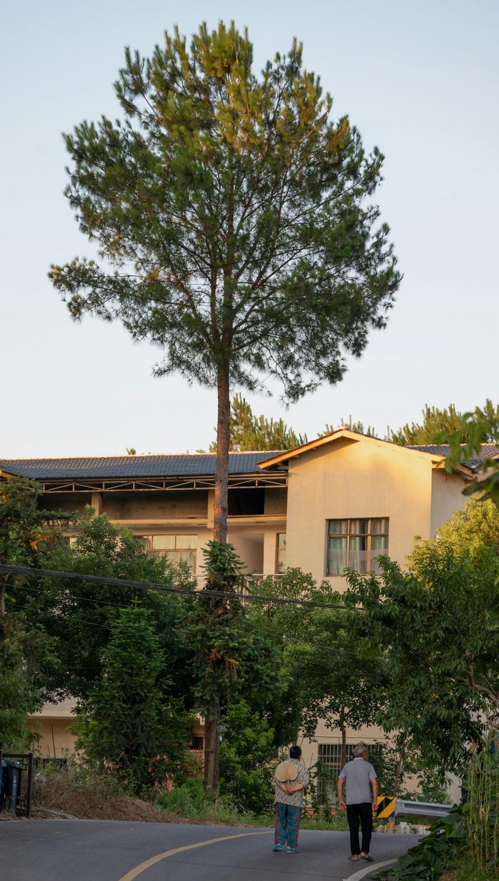 Sustainable features